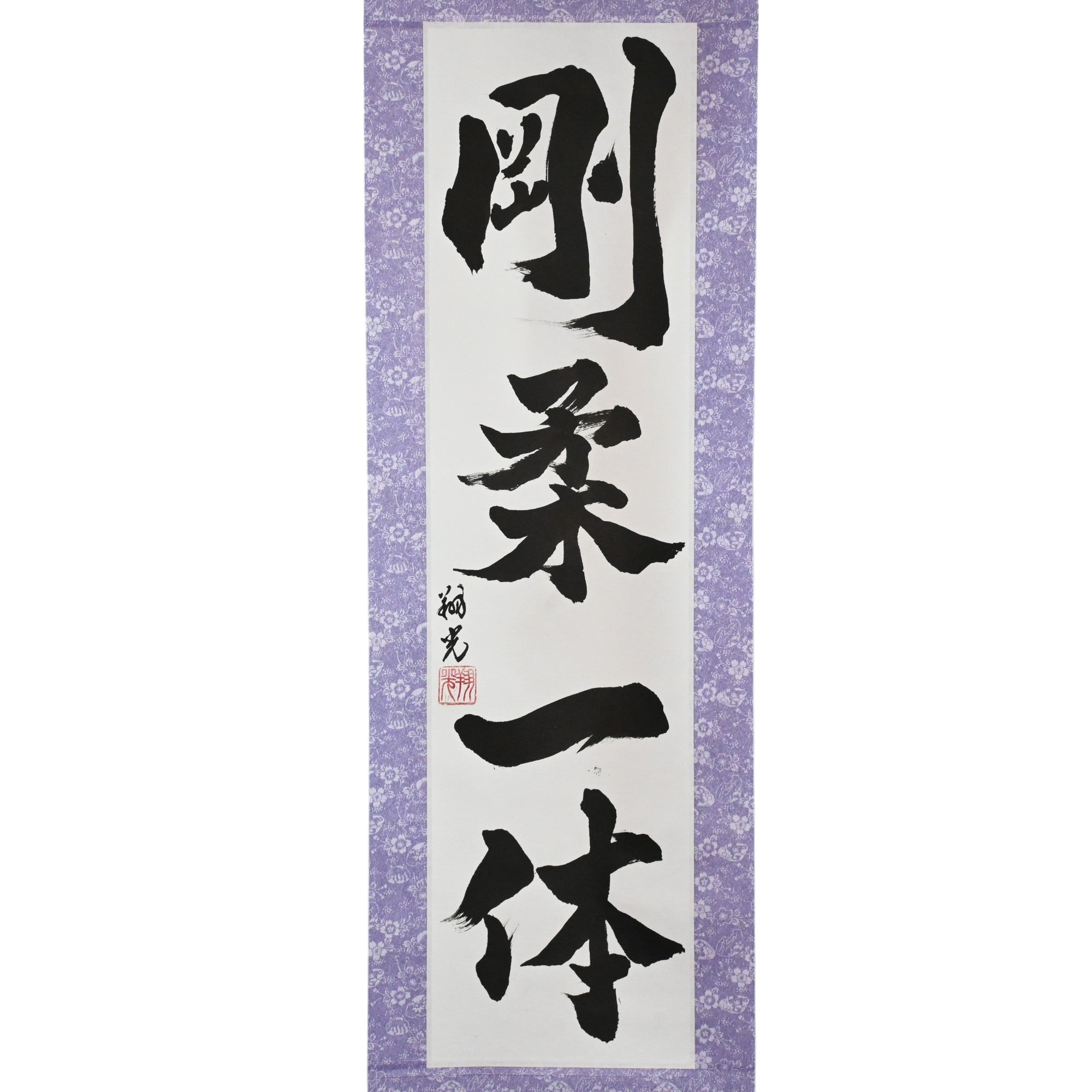 Unity of Hard and Soft — 剛柔一体 (Gōjū Ittai)