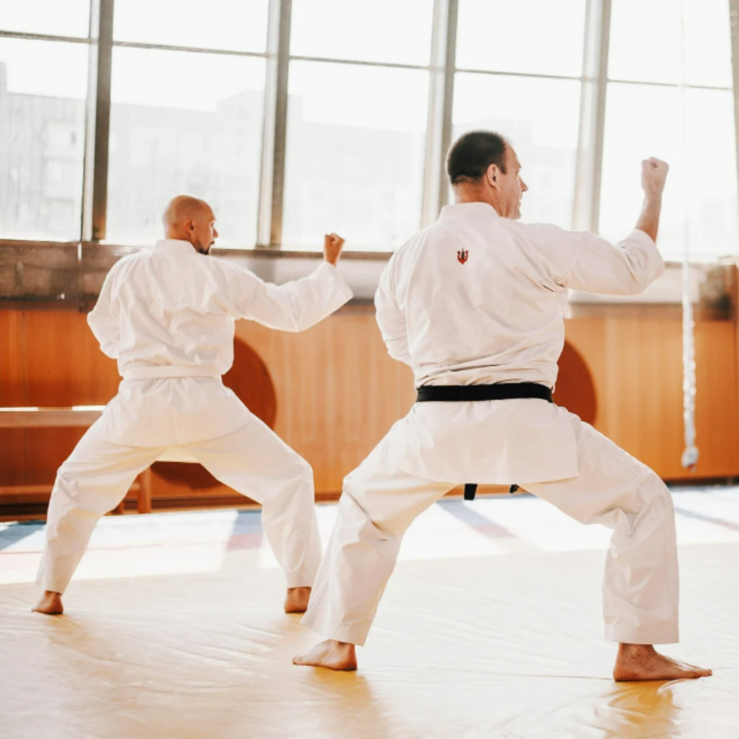 The Way of Mastery in Martial Arts — 守破離 (Shu-Ha-Ri)